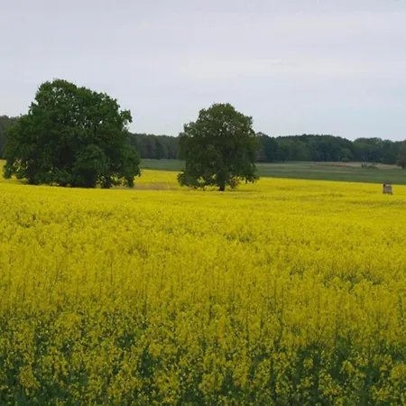 Дом отдыха Im Mueritz